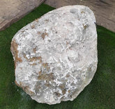 Bubbling Moss Rock - 112